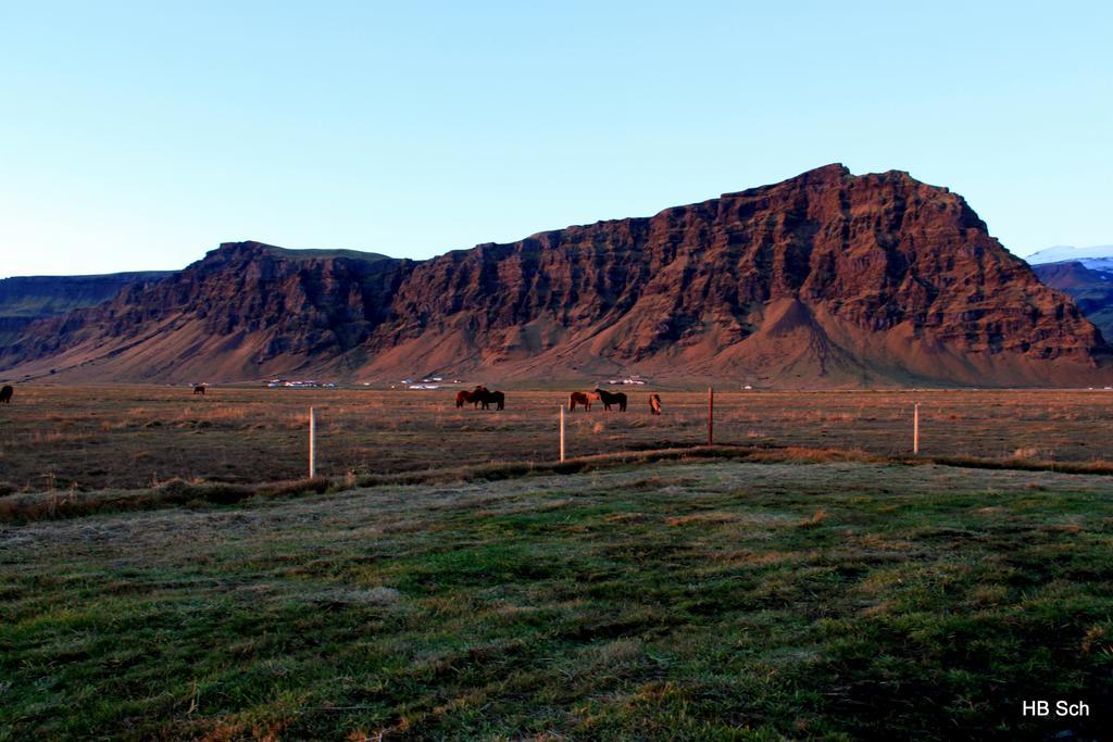 South Iceland Guesthouse Steinar Eksteriør bilde